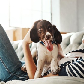 We welcome all your furry friends woman lies on a couch and pets her dog